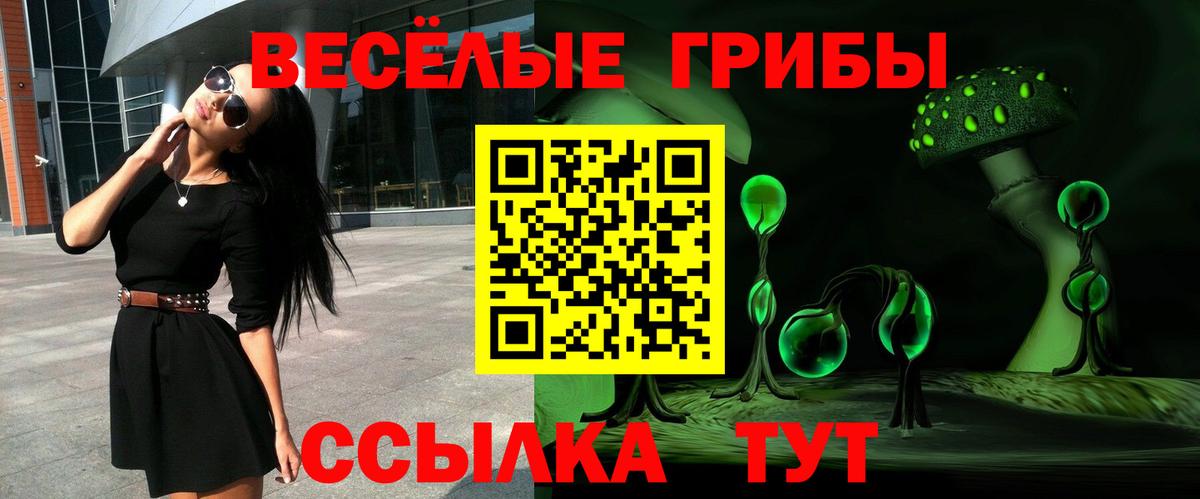 Псилоцибиновые грибы Magic Shrooms  Вход с VPN  где продают   Пугачёв 
